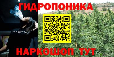 молекула духа Кузнецк