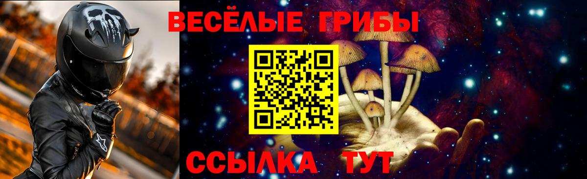 Псилоцибиновые грибы прущие грибы  Вход с VPN  Великий Новгород 